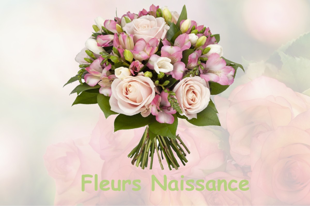 fleurs naissance DOULAINCOURT-SAUCOURT